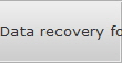 Data recovery for Bass data